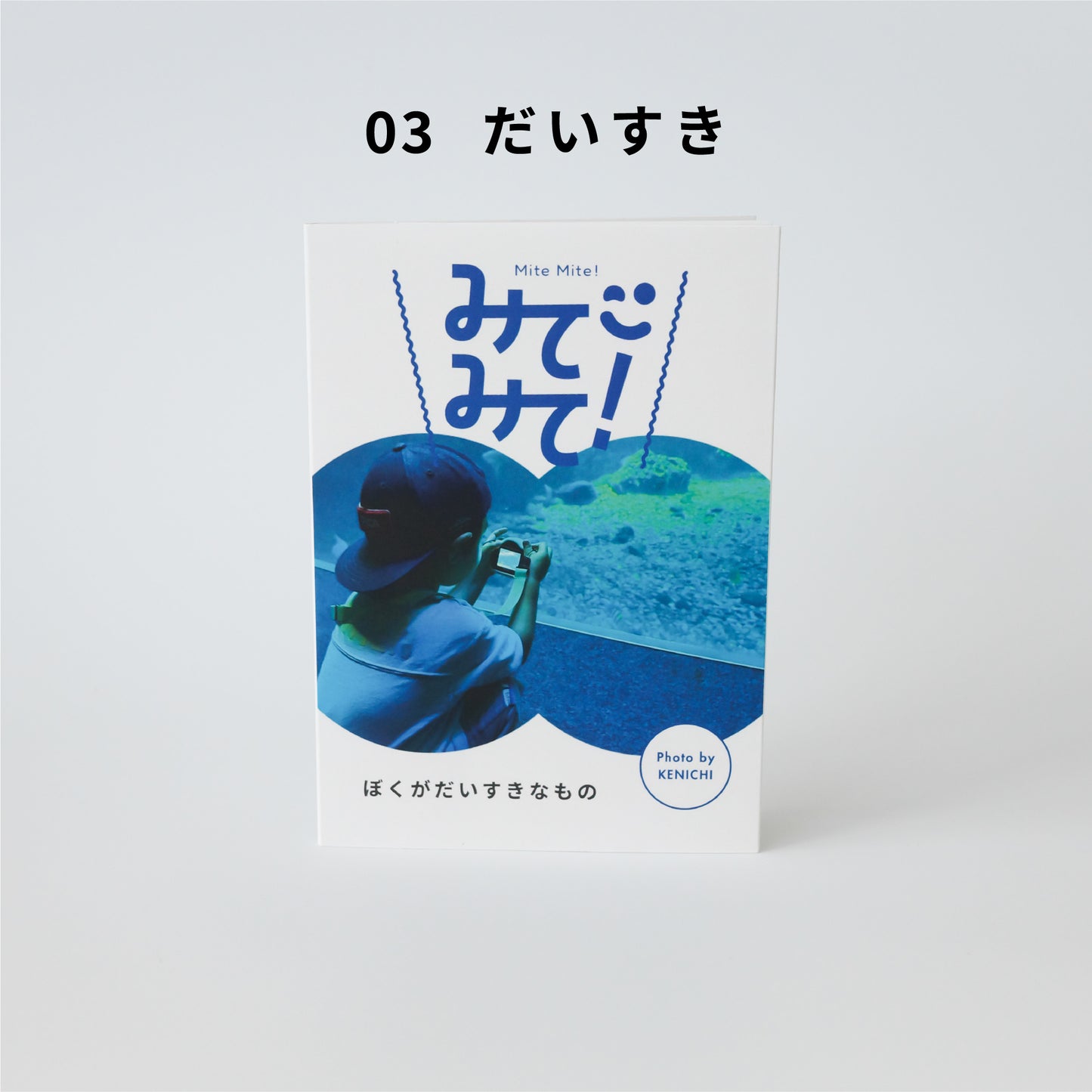 お子さま目線のミニピクアルバム